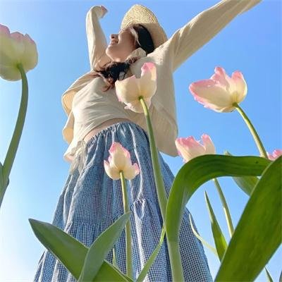 魔力果乐岛之拯救行动